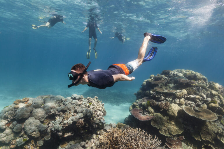 Snorkeling & Scuba Diving