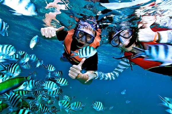day-trip-pulau-perhentian pemandangan dalam laut - perhentian snorkeling package