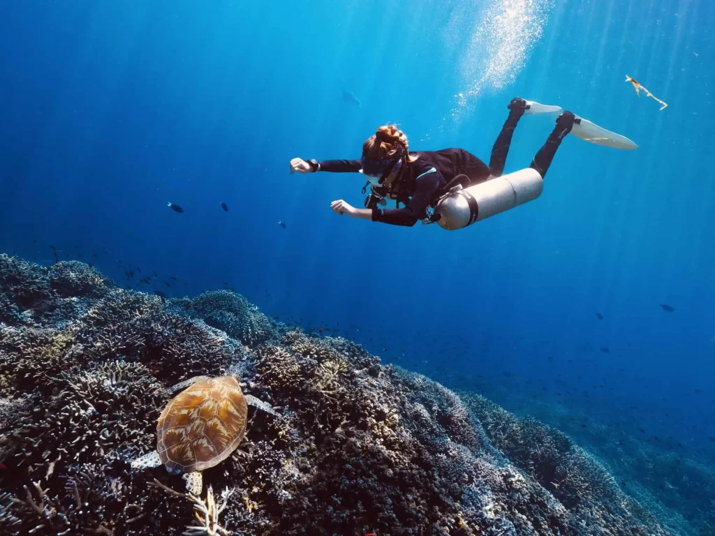 Penyu laut di Pulau Sipadan Semporna.