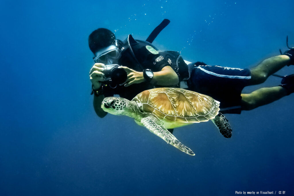 pulau pom pom wajib masuk list percutian
