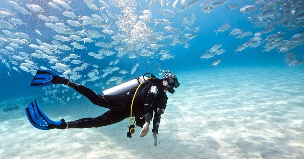 Musim Terbaik untuk Diving di Semporna