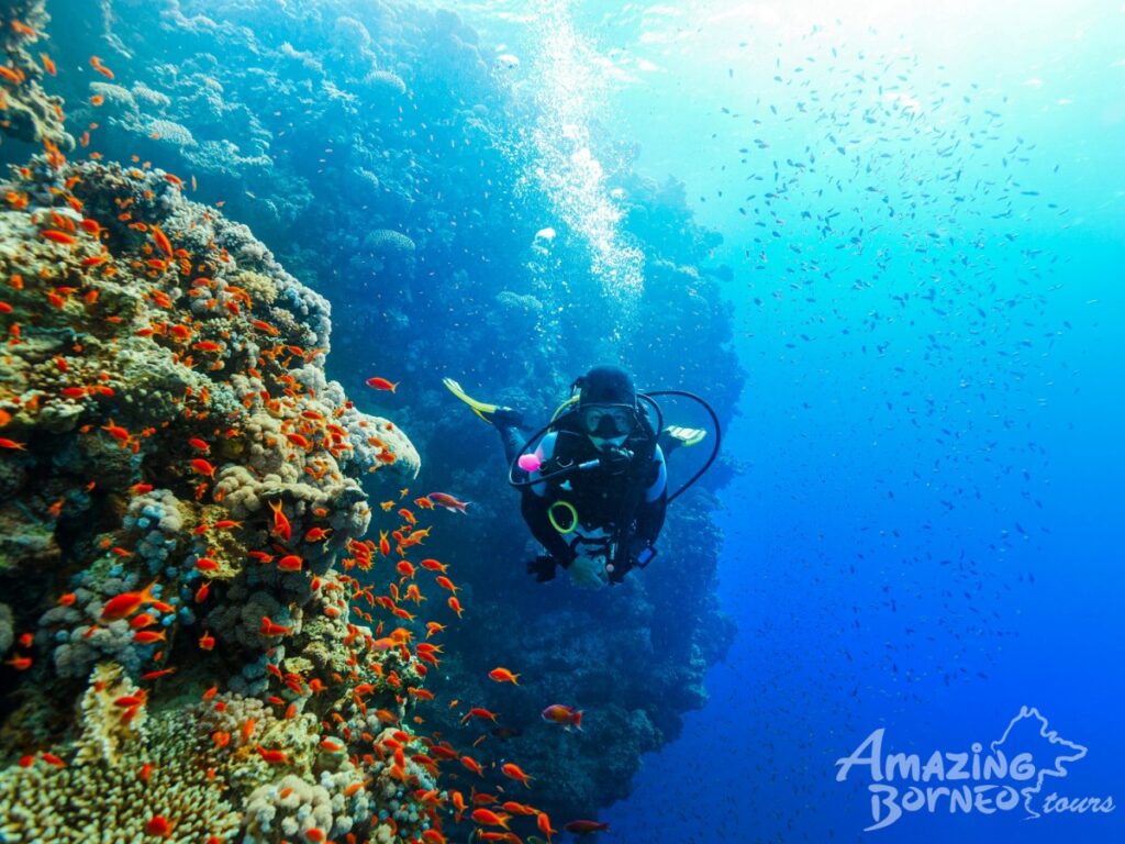 snorkeling