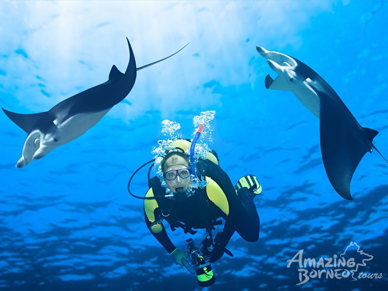snorkeling