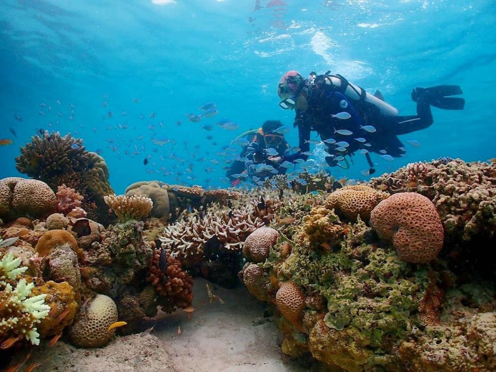 Kursus Diving di Semporna 2026: Open Water hingga Advanced