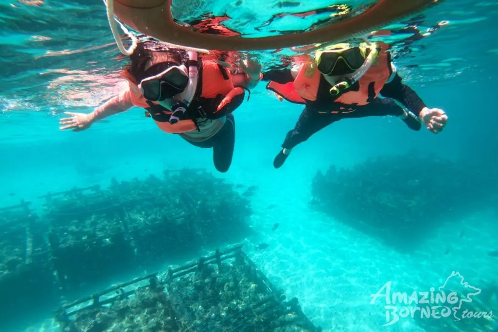 Selamat ke Snorkeling Jika Tak Pandai Berenang?