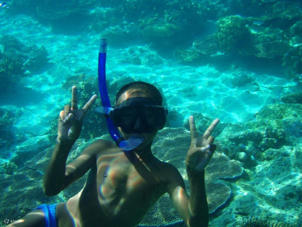 Apa Perlu Dibawa Sebelum Snorkeling