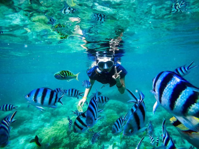Snorkeling untuk Non-Swimmer di Semporna 2026: Selamat ke?