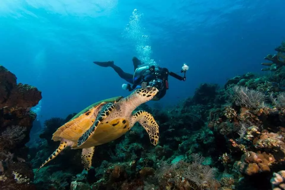 Jenis Kursus Diving di Semporna 2026