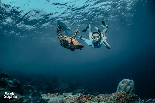 🌦️ Waktu Terbaik Snorkeling di Semporna 2026